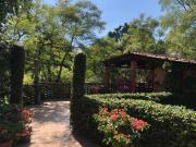 CUERNAVACA, UNA DELICIA DE VERDE