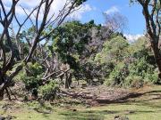 CUERNAVACA VENTA TERRENO 18,600 M2 ZONA NORTE CERCA...