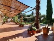 CUERS Provence Alpes Côte d'Azur 83390 91614302