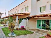 CUMBRE TULIPANES TU MEJOR OPCION