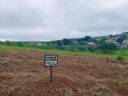 Curitiba lote quitado 364 metros na cidade de Mauá da...