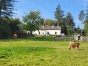 `CURRAGHDUFF FARM`, CURRADUFF, Oughterard, Co. Galway,...