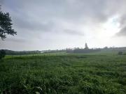 Curtafond 01310 Programme neuf terrain neuf à vendre