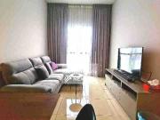 Cyperus@Tropicana Gardens