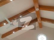 D12 50x90 Brand New Triple Storey For Rent