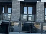 D58 142 FOAMFLOWER Place