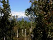 D9423729 Venta Parcela Puerto Varas Alto Rio Pescado