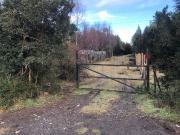 D9423750 Venta Parcela P.Varas Alto Rio Pescado