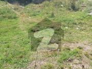 D 12/1.2450 Square Feet Plot For Sale