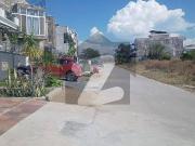 D 12/1 Plot For Sale At Investor Rate 5.5 Marla