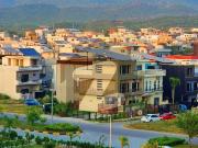 D 12/3 60*90 park face plot top location forever awesome...