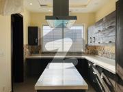 D 12/4 50x90 Brand New Designer House Available For Rent...