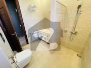 D 12/4 50x90 Brand New Designer House Available For Rent...