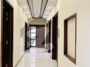 D 12/4 50x90 Brand New Designer House Available For Rent...