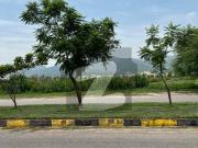 D 12/4 Top Location Double Road Plot For Sale with extra...