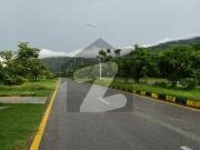 D 12 Double Road Park Face Plot For Sale with extra land