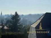 Dachgeschoss Loft in den Weinbergen mit Ausblick