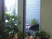 Dachgeschosswohnung mit Klimaanlage, Dusche, Wanne,...