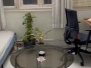 Dadar 1 Bedroom 480 Sq. Ft. Apartment in Dadar East...