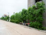 Daldal Seoni 1135 Sq.Ft. Plot in Daldal Seoni Raipur...