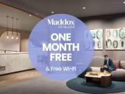 Dalhia Toronto Apartment For Rent Maddox Sherbourne ID 582.