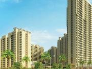 Damji Shamji Mahavir Spring Tulip Phase 1 2 Bedroom 783...