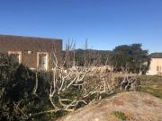 Dammuso sib la rosa Dammuso la Rosa Bianca