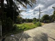 Damortis Lot for Sale Pre Selling