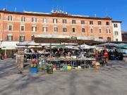 Dandolo In Trastevere