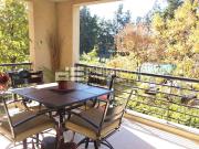 Daniela Esteche Realty & Home