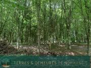 Dans le bocage normand et Région de VIRE 14500 Domaine...