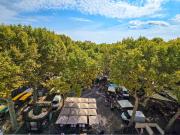 Dans une petite copropriété très bien entretenue,...