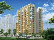 Dapodi 3 BHK Apartment For Sale Pune