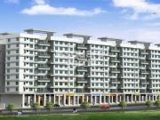 Darga To It Park Road Commercial Shop 350 Sq. Ft. in...