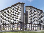Darshanam King Square,New Gotri 3 BHK Apartment For Sale...