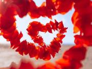 DAS DOMIZIL FÜR KLEINFAMILIEN