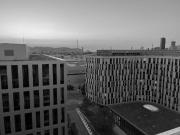 Das Glück der Erde liegt auf dem Rücken der Pferde...