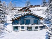 Das prestigeträchtige Constellation Chalet