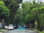 Dasmarinas Village Makati Vacant Lots for Sale