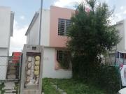 DATIL SANTA TERESA VIB