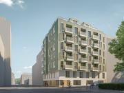 DAVID 59: Sonniges Multitalent für jede Lebenslage! 3...