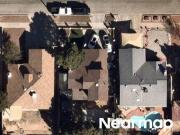 David Carrasco Dr David Carrasco Dr