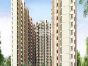 Dayal Friends Colony 1676 Sq. Ft. Plot in Amar Shaheed...