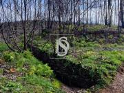 de 2,4Ha em Melres, Gondomar de 2,4Ha em Melres, Gondomar