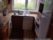 Cozy 1 BA 1 bedroom flat share for rent in Shannon...