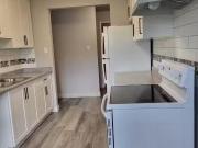 Deal! 1 BA 1 Bedroom Laponia Plaza