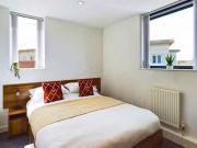 Rental! 1 BR Gold Studio XL Rental! 1 BR Gold Studio XL