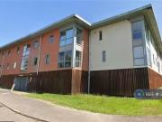 Unique 2 BA 2 bedroom flat for rent in Severn Point,...