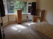 Deal! 4 bedroom house for rent in 4 bedroom House in...