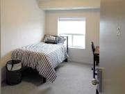 New 5 Bedroom 253 Lester St